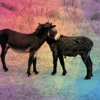 Foto de perfil de carlos