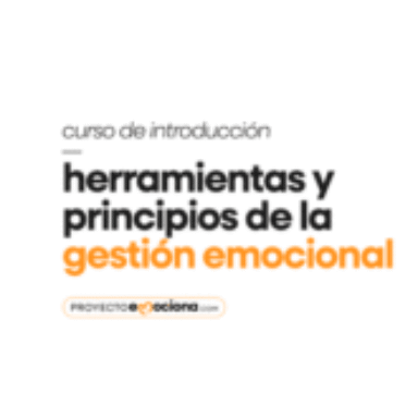 Grupo de introducción